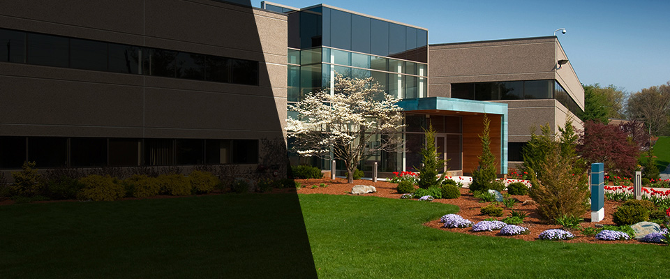 Swedesboro Landscapers