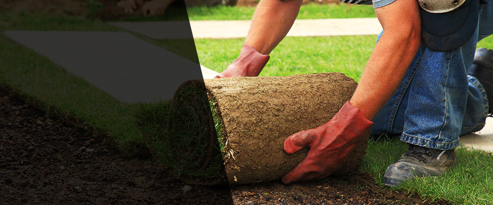 Swedesboro Landscapers